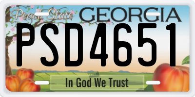 GA license plate PSD4651
