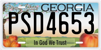 GA license plate PSD4653