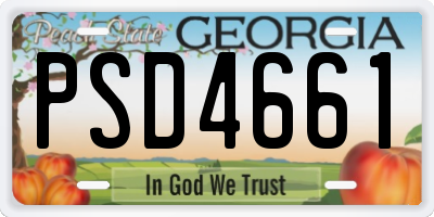 GA license plate PSD4661