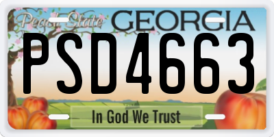 GA license plate PSD4663