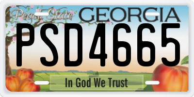GA license plate PSD4665
