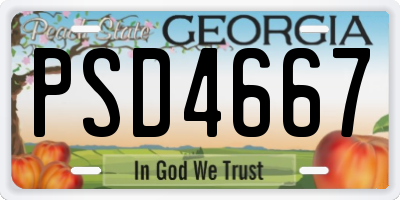 GA license plate PSD4667