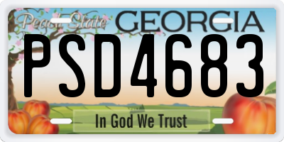 GA license plate PSD4683