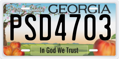 GA license plate PSD4703