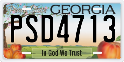GA license plate PSD4713