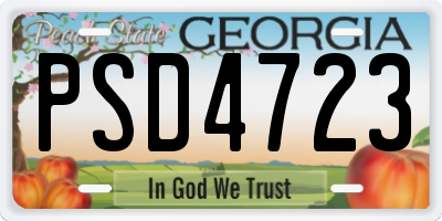 GA license plate PSD4723