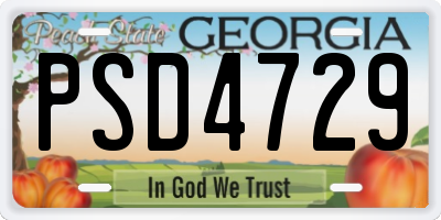 GA license plate PSD4729