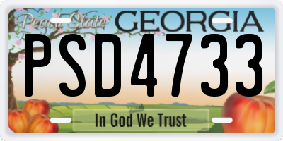 GA license plate PSD4733
