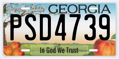 GA license plate PSD4739