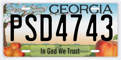 GA license plate PSD4743