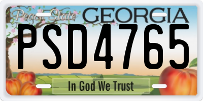 GA license plate PSD4765