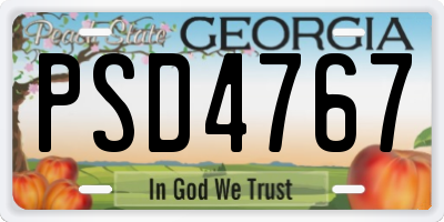 GA license plate PSD4767