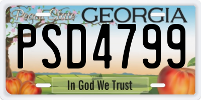 GA license plate PSD4799