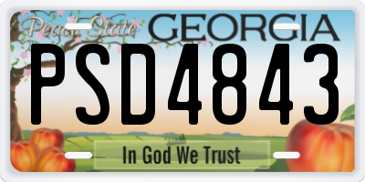 GA license plate PSD4843