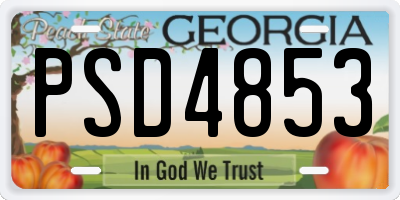GA license plate PSD4853