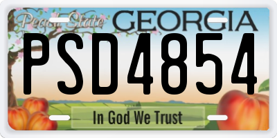GA license plate PSD4854