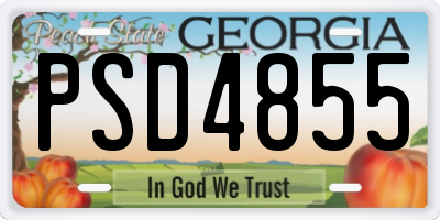 GA license plate PSD4855