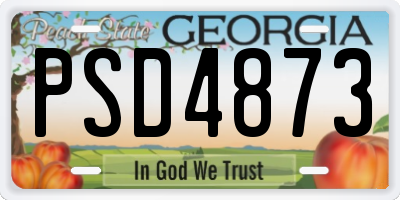 GA license plate PSD4873