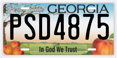 GA license plate PSD4875