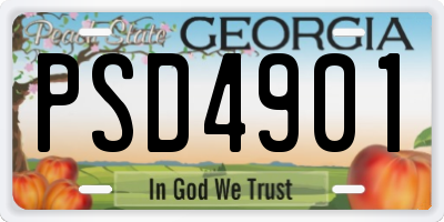 GA license plate PSD4901