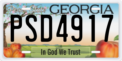 GA license plate PSD4917