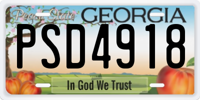 GA license plate PSD4918