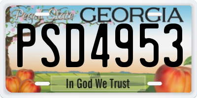 GA license plate PSD4953