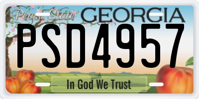 GA license plate PSD4957