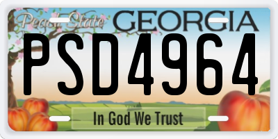 GA license plate PSD4964