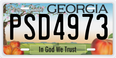 GA license plate PSD4973