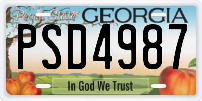 GA license plate PSD4987