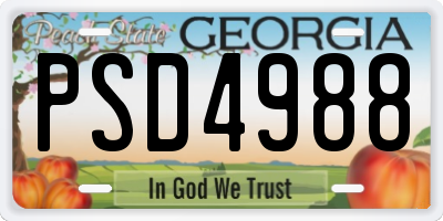 GA license plate PSD4988