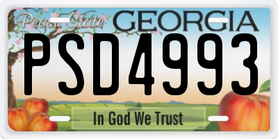 GA license plate PSD4993