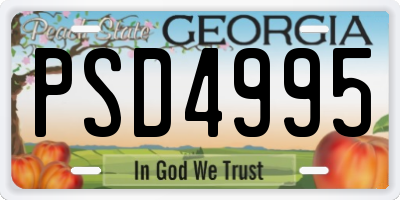 GA license plate PSD4995