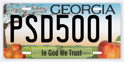 GA license plate PSD5001