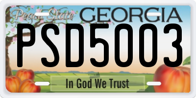 GA license plate PSD5003