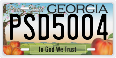 GA license plate PSD5004