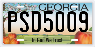 GA license plate PSD5009