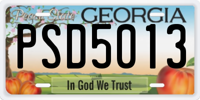 GA license plate PSD5013