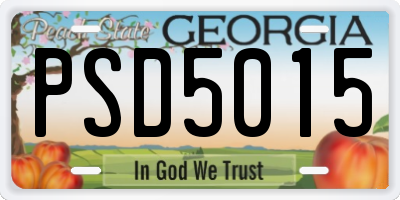 GA license plate PSD5015