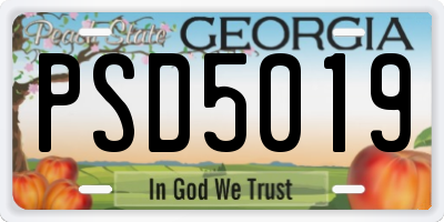 GA license plate PSD5019