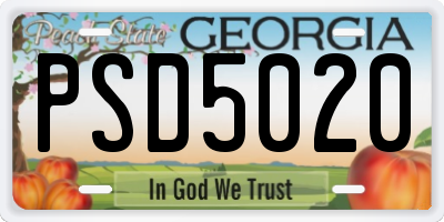 GA license plate PSD5020