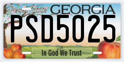 GA license plate PSD5025