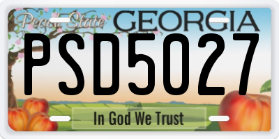 GA license plate PSD5027