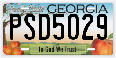 GA license plate PSD5029