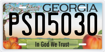 GA license plate PSD5030