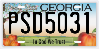 GA license plate PSD5031