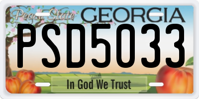 GA license plate PSD5033