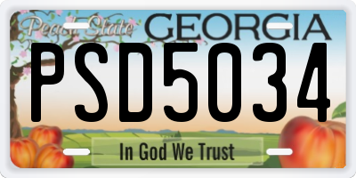 GA license plate PSD5034