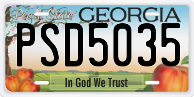 GA license plate PSD5035